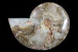 Choffaticeras (Daisy Flower) Ammonite Half - Madagascar #80916-1
